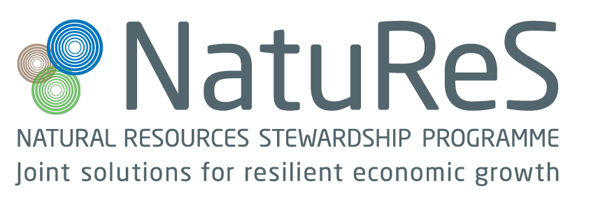 NatuReS Logo